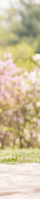 라미네이트 종류 비교 비용과 과정까지 안내 관련 이미지 29