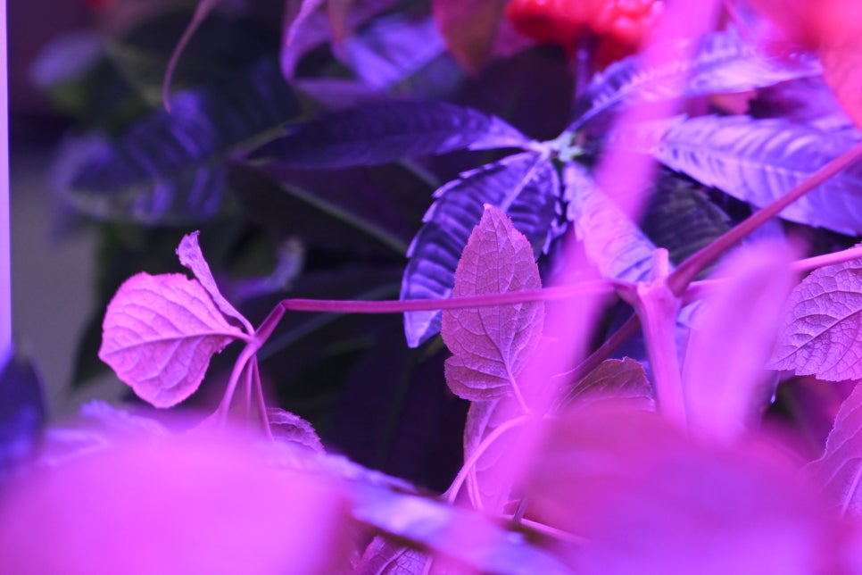 LED조명장점 형광등보다 나을까? 관련 이미지 20