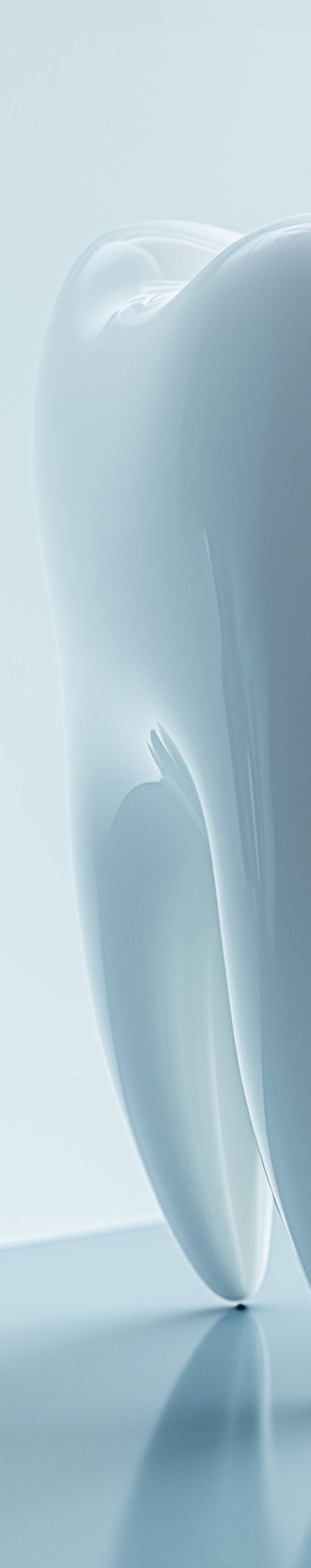 올온엑스 가격 포함한 핵심 질문들 관련 이미지 18