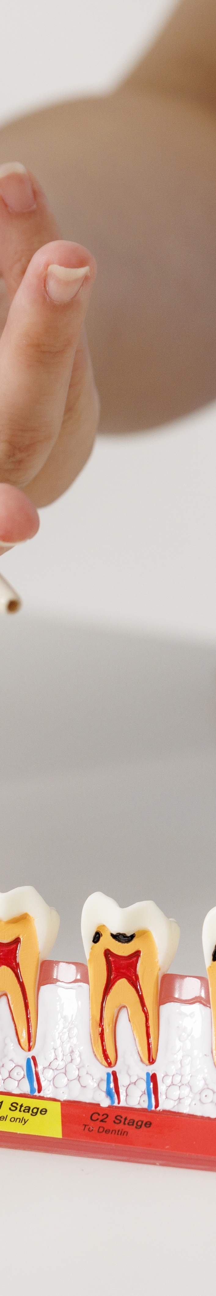 올온식스 수명 연장하는 생활습관 체크하기 관련 이미지 22