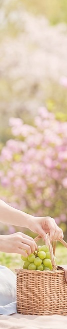 라미네이트 종류 비교 비용과 과정까지 안내 관련 이미지 27