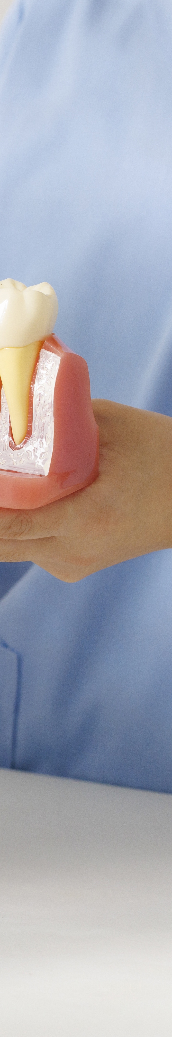 압구정 전체임플란트비용 선택 기준 7가지 살펴보기 관련 이미지 24