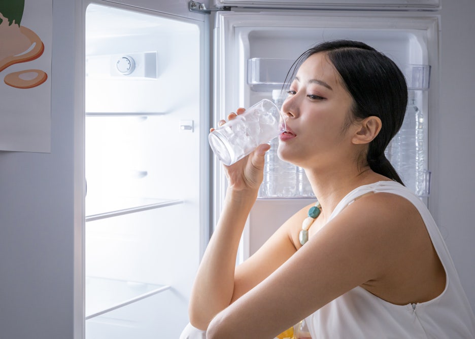 냉장고 소비전력 절약 아끼면서 살기위한 꿀팁! 관련 이미지 3