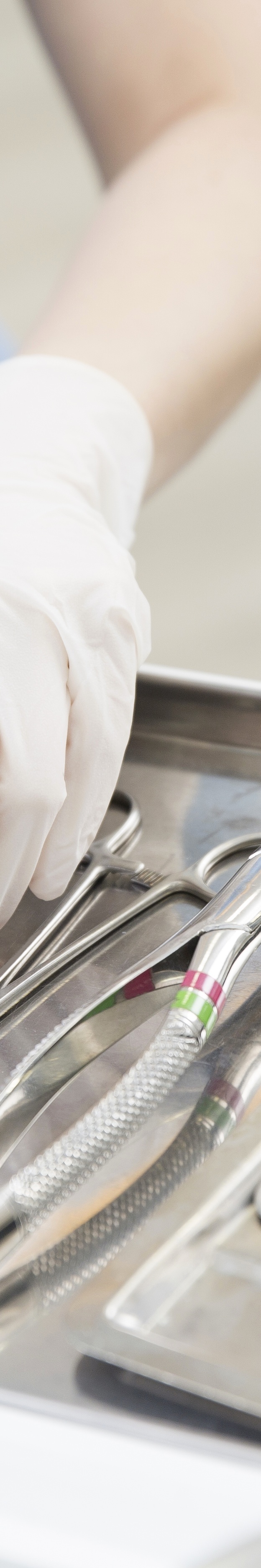 Key Points You Shouldn’t Miss When Choosing Full-Arch Dentures image 28