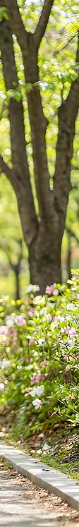 전체 임플란트 비용 차이가 왜 나는지 알아보세요 관련 이미지 36