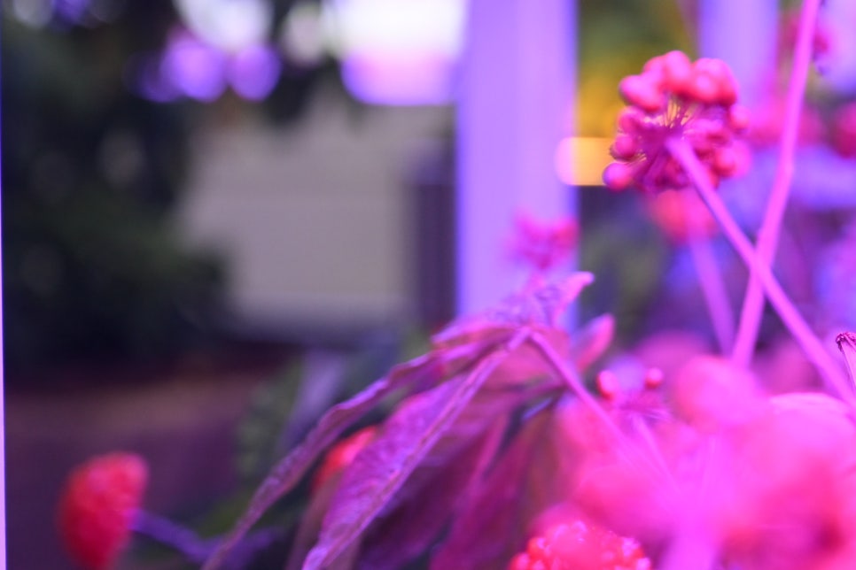 LED조명장점 형광등보다 나을까? 관련 이미지 17