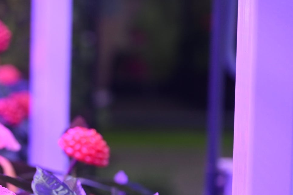 LED조명장점 형광등보다 나을까? 관련 이미지 19