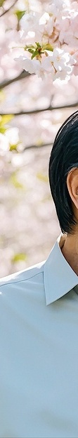 뼈이식 하지 않는 임플란트 상황에 따른 대처방법 관련 이미지 24