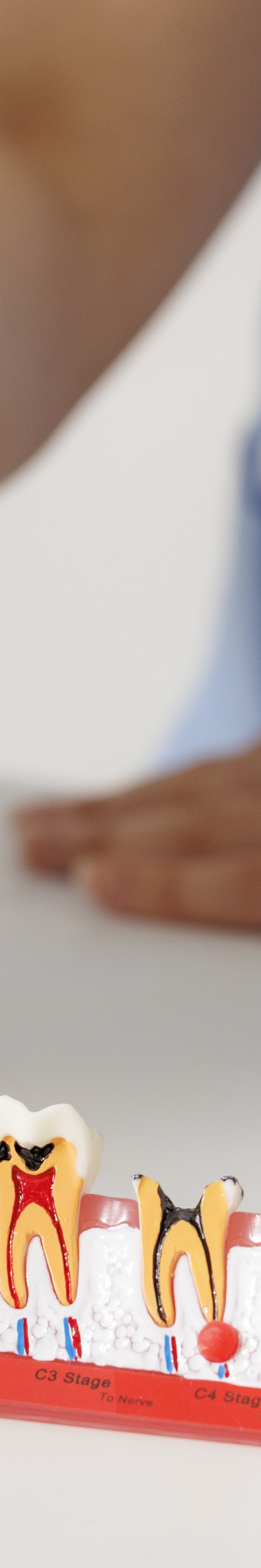 올온식스 수명 연장하는 생활습관 체크하기 관련 이미지 23