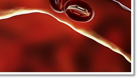 성인 혈압정상수치 범위 벗어나기 관련 이미지 24