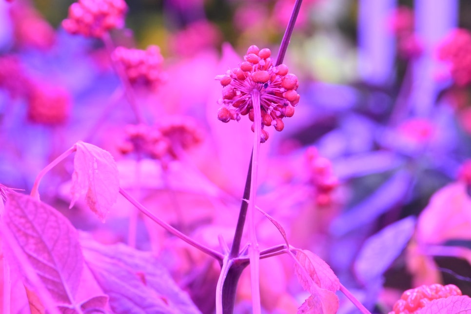 LED조명장점 형광등보다 나을까? 관련 이미지 18