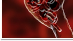 성인 혈압정상수치 범위 벗어나기 관련 이미지 22