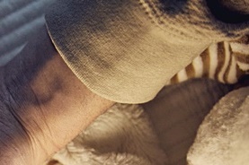 아기 냉방병 증상 여름 감기와 달라요 관련 이미지 18