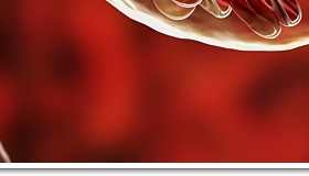 성인 혈압정상수치 범위 벗어나기 관련 이미지 23