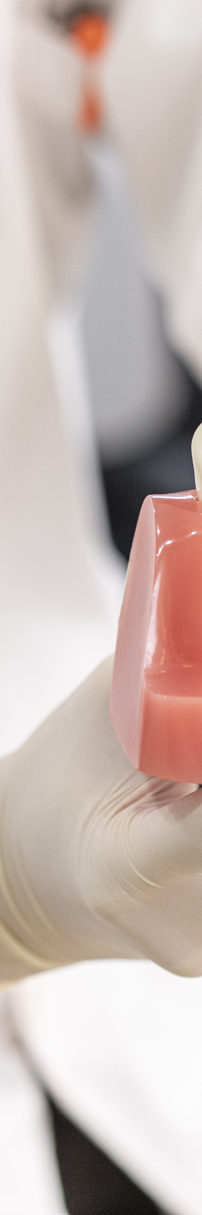 청담동임플란트 선택 전 꼭 알아야 할 사실들 관련 이미지 26