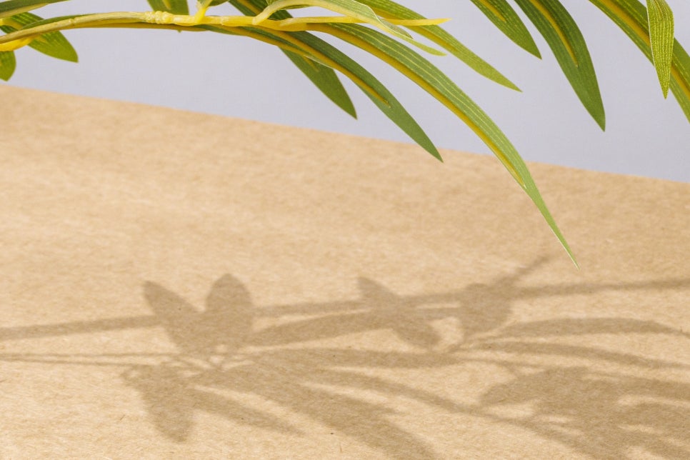 소주 1병 몇잔 용량 칼로리 해독 시간 알아봐 관련 이미지 9