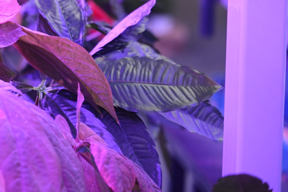 LED조명장점 형광등보다 나을까? 관련 이미지 22