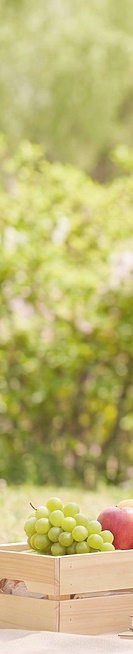 라미네이트 종류 비교 비용과 과정까지 안내 관련 이미지 23