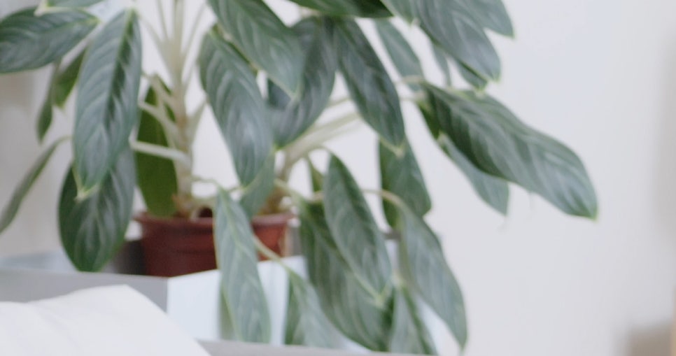 목에 가시 걸린느낌 이물감이 심해요 관련 이미지 12