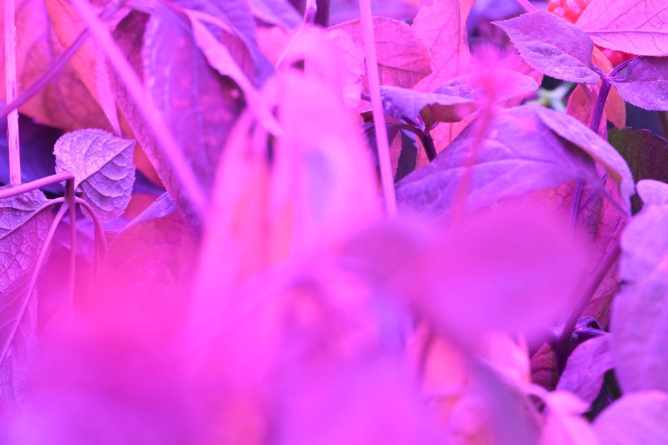 LED조명장점 형광등보다 나을까? 관련 이미지 21