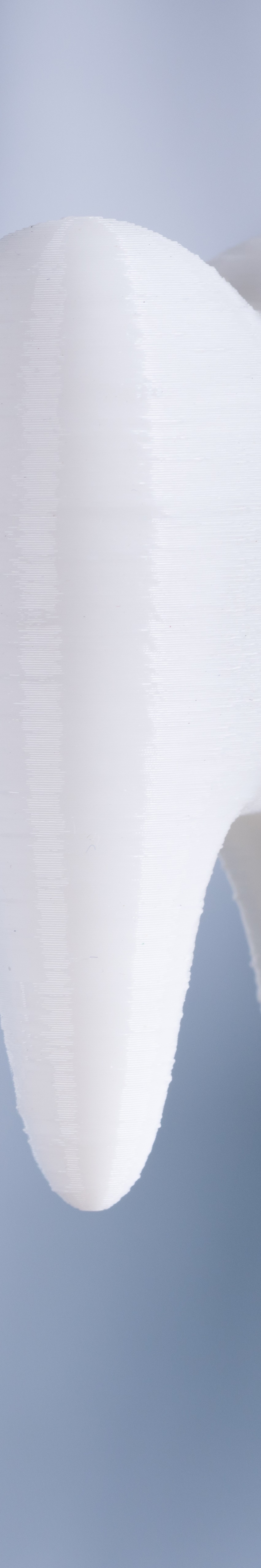 디지털풀아치 저작력 회복의 놀라운 여정 관련 이미지 26