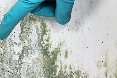 여름 보일러 외출 사용법 어떻게 해놓을까? 관련 이미지 11