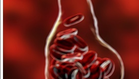 성인 혈압정상수치 범위 벗어나기 관련 이미지 19