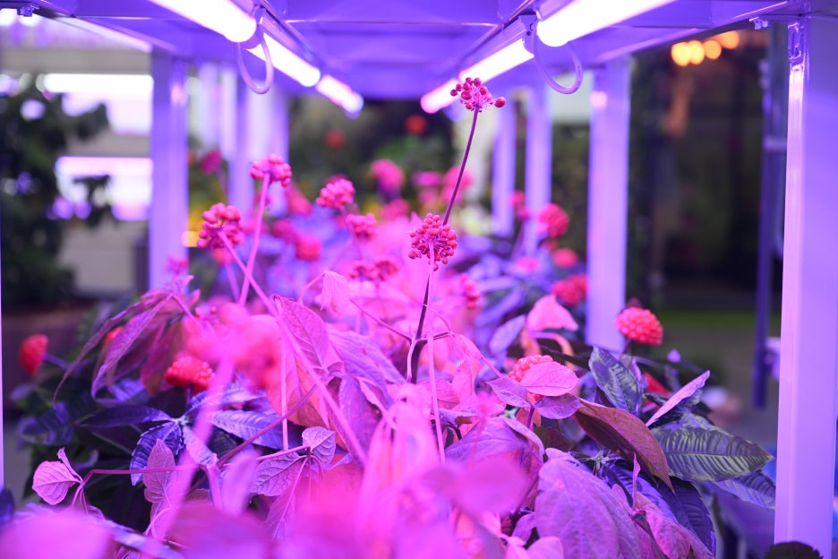 LED조명장점 형광등보다 나을까? 관련 이미지 2