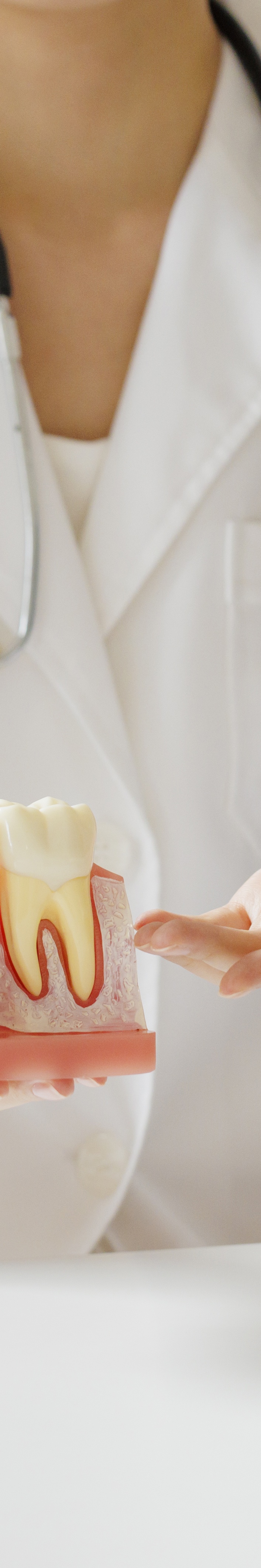 압구정 전체임플란트비용 선택 기준 7가지 살펴보기 관련 이미지 29