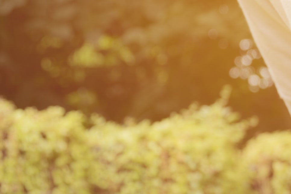 소화가 잘 안되요 원인 평소 자주 체한다면? 관련 이미지 19