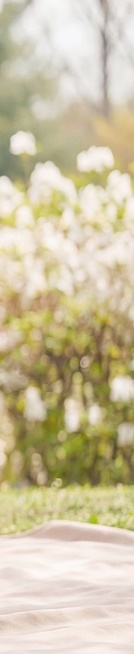 라미네이트 종류 비교 비용과 과정까지 안내 관련 이미지 30