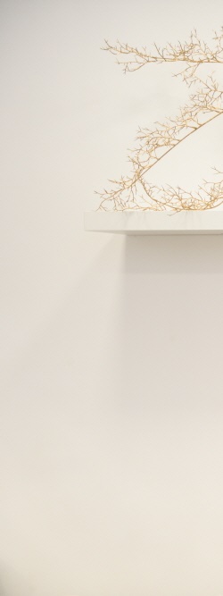 강남역 스킨바이브 유분이 많아도 당기는 피부 관리법 관련 이미지 19