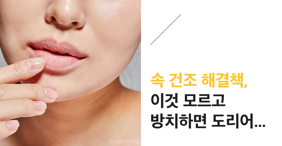강남역 스킨바이브 속 건조 해결책, 이것 모르고 방치하면 도리어... 관련 이미지 2