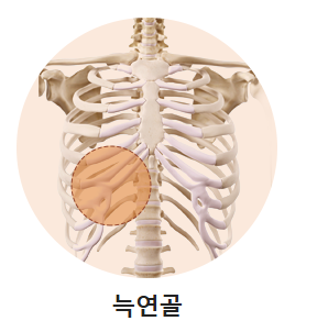입체적이고 균형 잡힌 코 라인을 위한 자가연골 코 성형(비중격, 귀연골, 늑연골) 관련 이미지 7