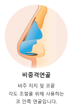 코 끝에 사용되는 주재료 관련 이미지 4