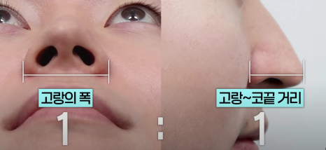 남성과 여성이 선호하는 코 라인의 차이점 관련 이미지 7