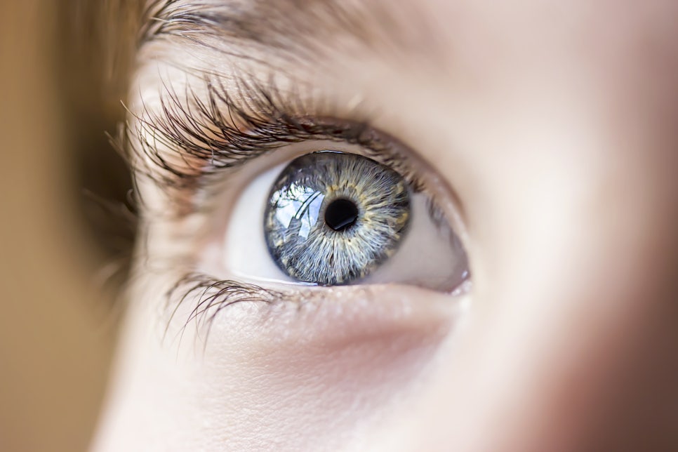 쌍수 후 주의사항과 부기, 멍 관리 방법 관련 이미지 1