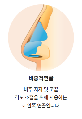 코성형 재료 어떤게 좋을까? ㅣ 코성형 재료의 모든 것, 코 재료 총정리 관련 이미지 5