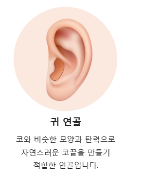 코 끝에 사용되는 주재료 관련 이미지 3