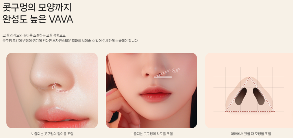 Concerned About Wide Nostrils? | When Alar Reduction Is Needed at BABA Plastic Surgery image 5