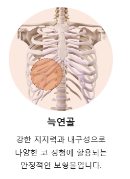 코 끝에 사용되는 주재료 관련 이미지 5