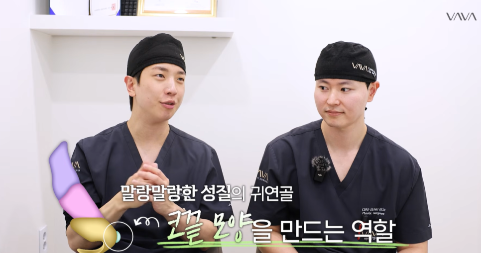 코성형 재료 총정리｜실리콘 부작용&middot;자가늑연골 와핑&middot;귀연골 흡수까지 (콧대 코끝 비교) 관련 이미지 13