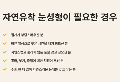 쌍꺼풀 수술 짧은 회복기 가능? 종류별 차이 완전 정리 관련 이미지 6