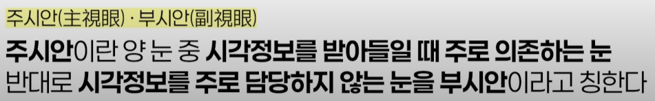 쌍수 후 생겨버린 짝눈 교정 눈의 균형을 맞추는 섬세한 방식 관련 이미지 22