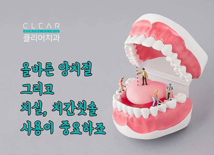 진짜 궁금했던 생활 속 치아 이야기 관련 이미지 3