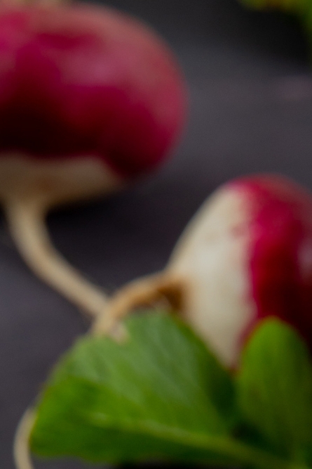 콜라비 효능 부작용 보관법 고르는법 알아보기 관련 이미지 8