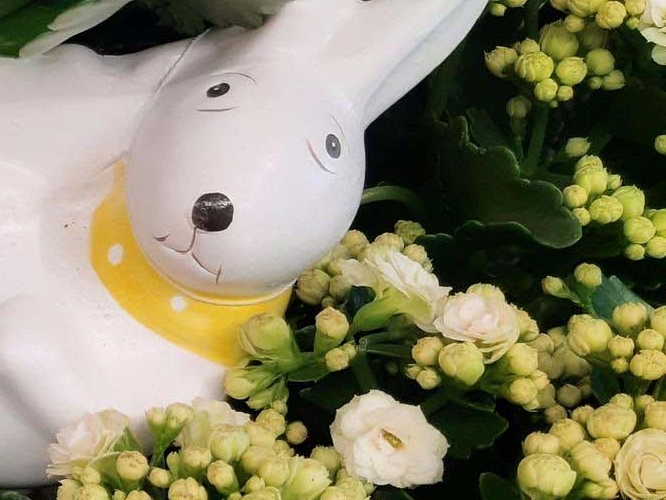 신경치료 완료 후 통증 원인 주의사항은? 관련 이미지 25