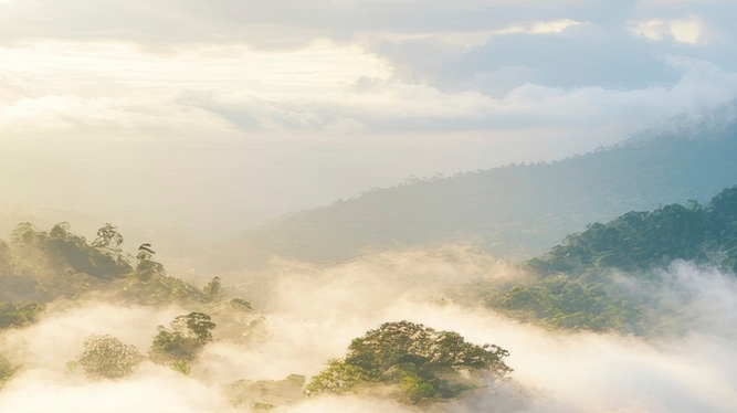 치아 사이 충치 조기에 발견해야 관련 이미지 15