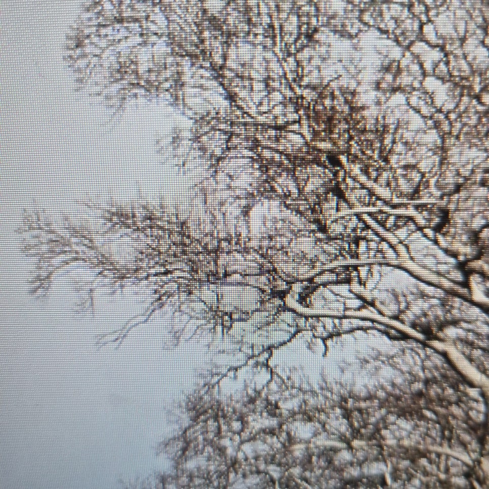 유산소운동효과 알아보기 관련 이미지 7