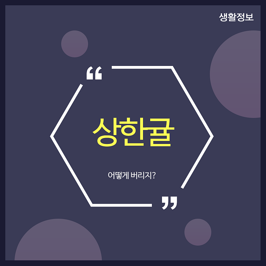 상한귤 어떻게 버리지? 관련 이미지 1